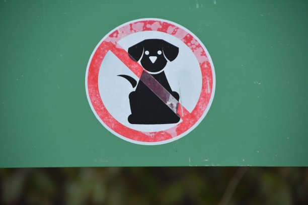 狗和车禁止入内图片下载