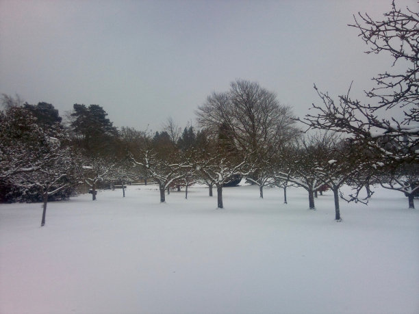 冬天的乐趣图片下载