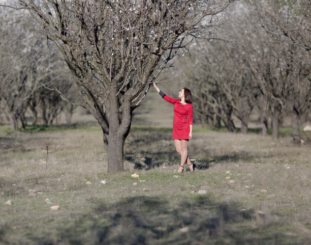 一个年轻女子在一个无人照管的杏树园里图片下载