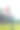 女孩的腿和彩色气球在阳光的光线素材图片