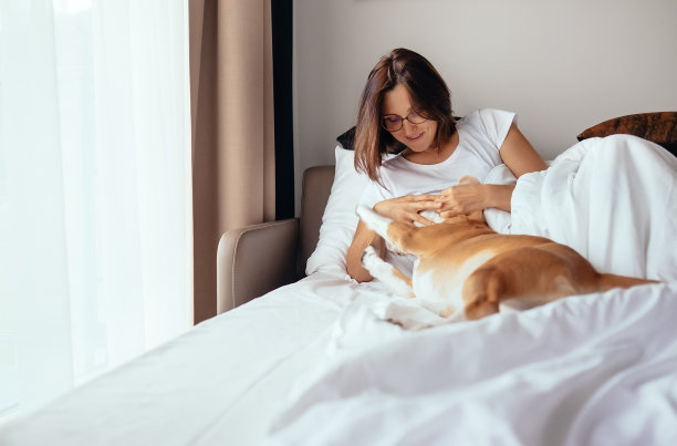 女人在床上和小猎犬玩耍图片下载