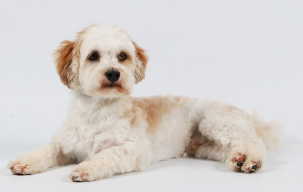 哈瓦那人像图片下载