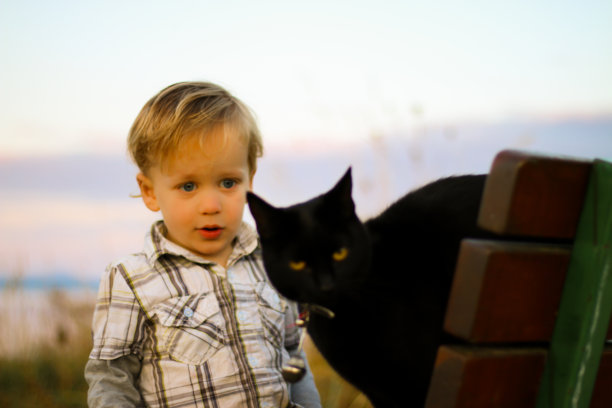 发现动物的快乐的孩子图片下载