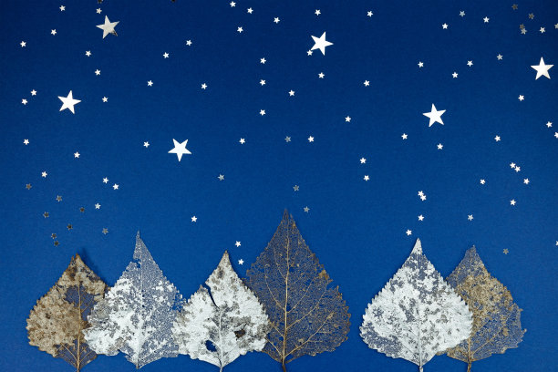 干燥的银色树叶和蓝色的纸屑图片下载