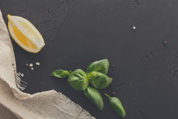 柠檬和薄荷黑色背景图片下载