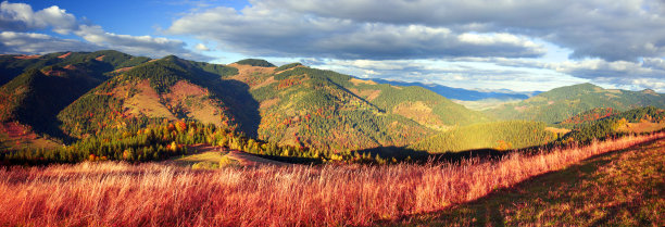 秋冬在山上图片下载