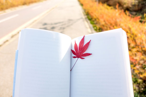 秋天的树叶书签图片下载