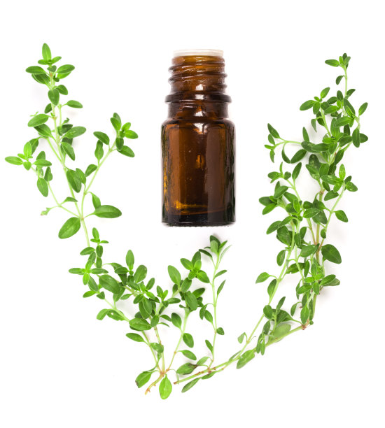 白色背景上分离的百里香精油图片下载