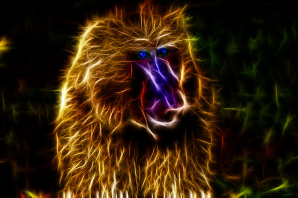 一个发光的狒狒。图片下载