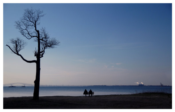 港口的两个人和一棵树图片下载