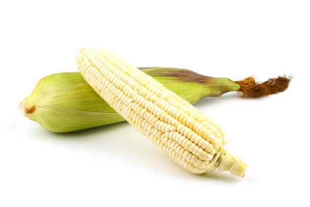 分离的玉米图片下载