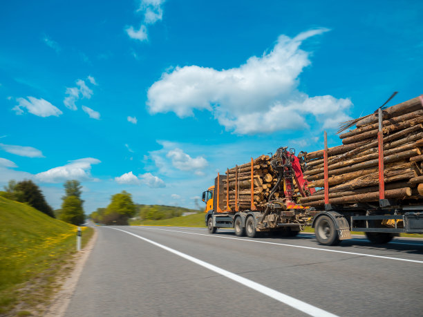 卡车在运圆木图片下载