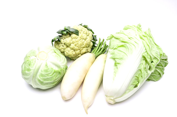 卷心菜，萝卜，花椰菜和大白菜图片下载