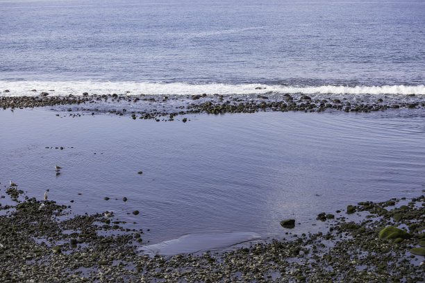无情的海滩图片下载