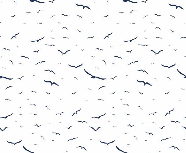 背景与鸟类。图片下载