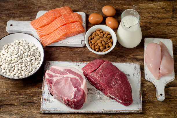 蛋白质图片下载