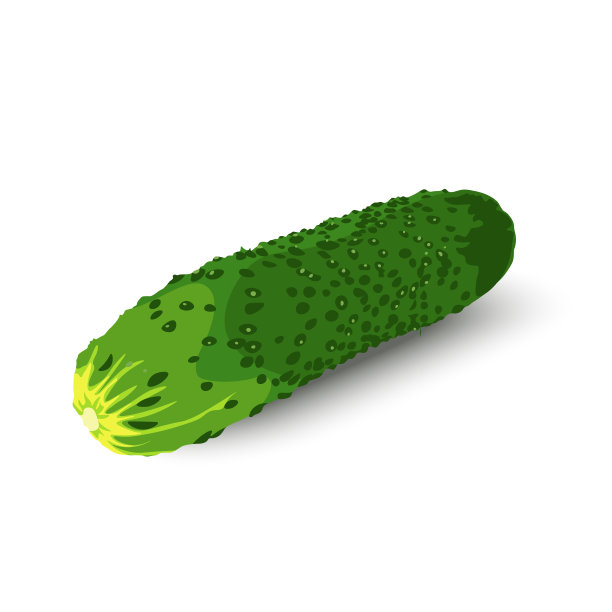 病媒在白色背景下分离鲜绿黄瓜图片下载