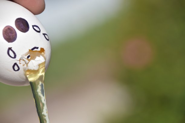 蛋看看它们的命运图片下载