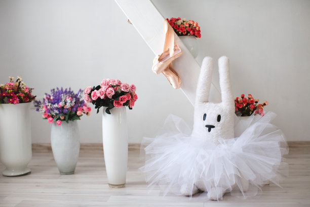 小芭蕾舞鞋。图片下载