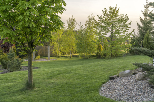 园林景观图片素材ID：311872986