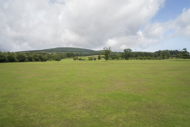 大型绿色草地图片下载