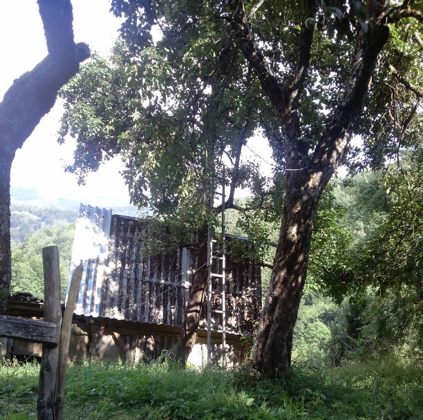 26、山上的马厩，梯子图片下载