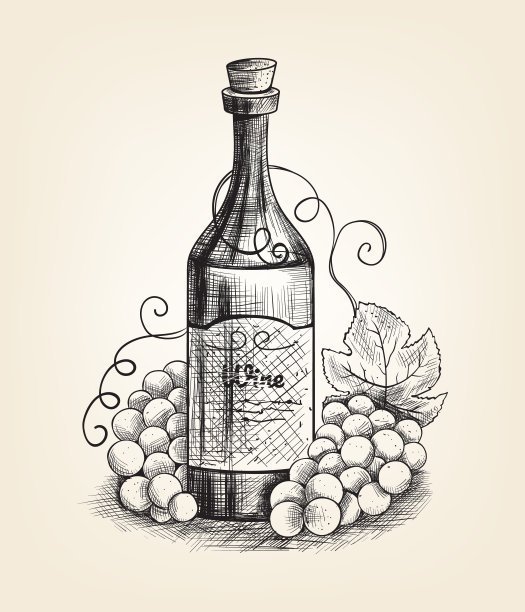 葡萄和葡萄酒。手绘铅笔墨水风格图片下载