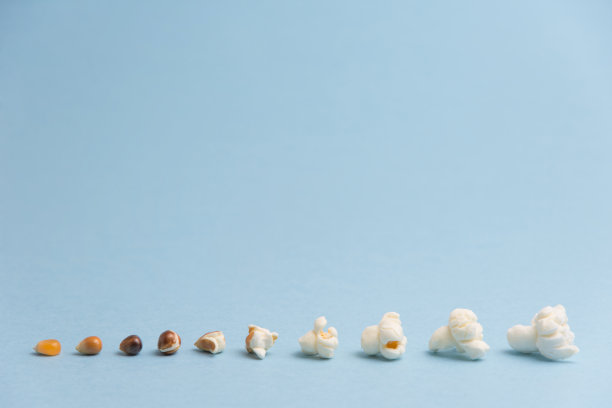 爆米花种子改变图片下载