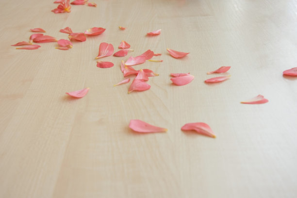 鲜嫩的粉色花瓣散落在一个轻木桌面上图片下载