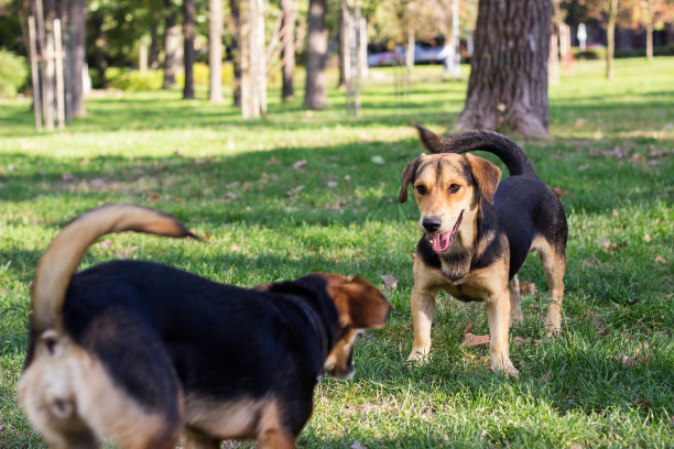 和我玩图片下载
