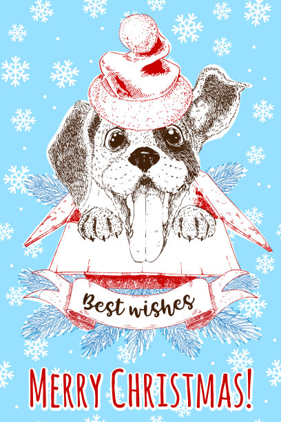 圣诞和新年设计贺卡与快乐的狗在圣诞老人的帽子和礼物盒。矢量插图。图片下载