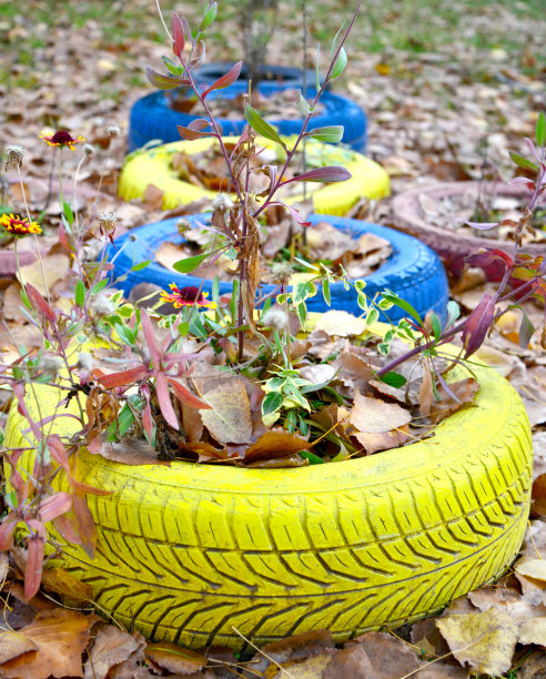 用旧汽车轮胎做的花盆图片下载