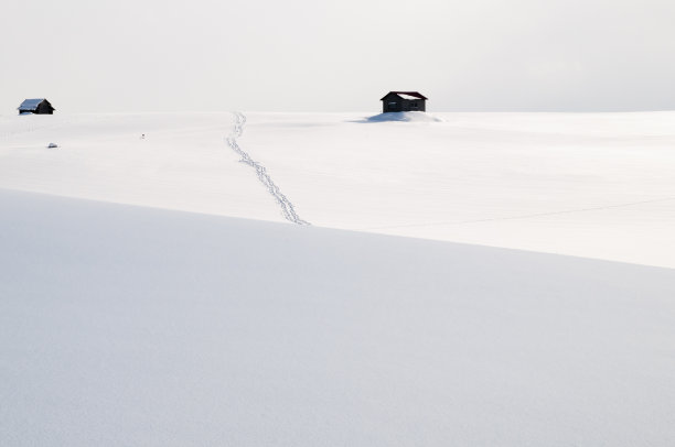 雪地图片素材ID：311892198