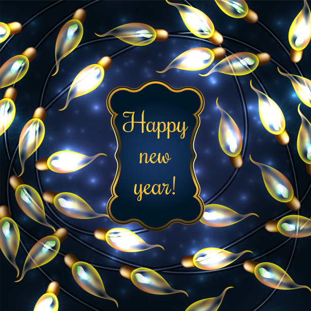 五彩缤纷的圣诞彩灯。图片下载