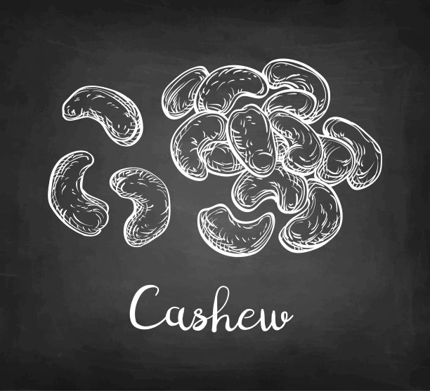 腰果的粉笔素描图片下载