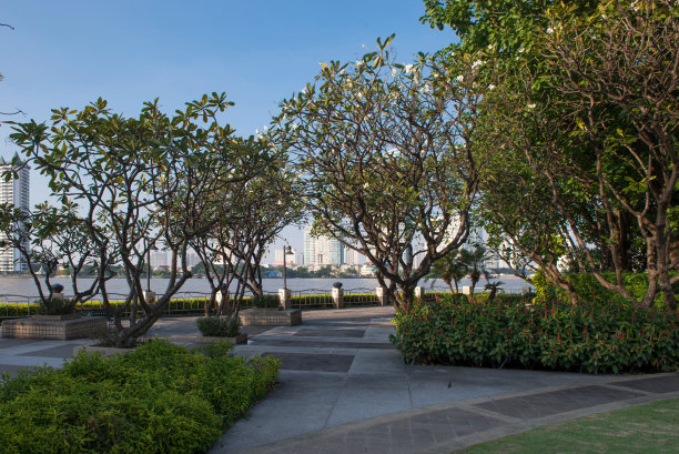 公园里绿树成荫，天空湛蓝图片下载