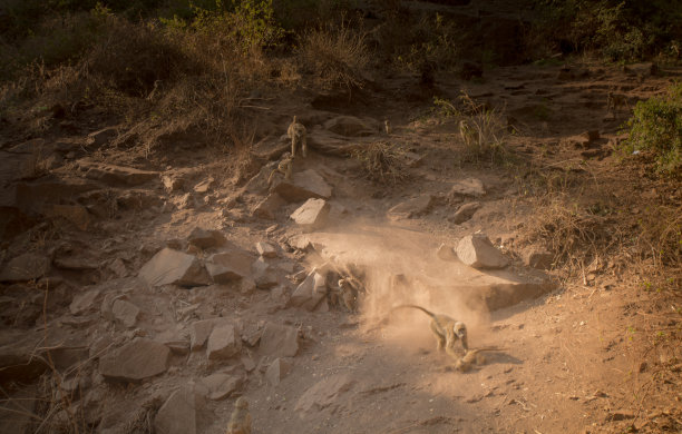 下了山图片下载