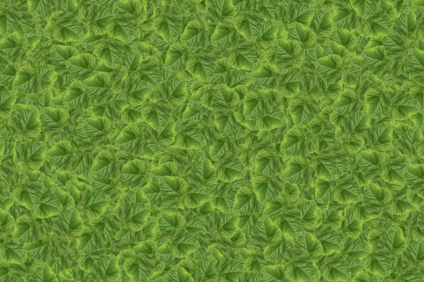 绿色苋叶图案背景图片下载