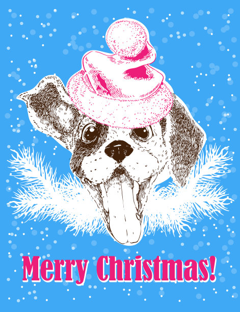 新年贺卡与矢量肖像狗在圣诞老人的帽子。可爱的小猎犬。t恤图片下载
