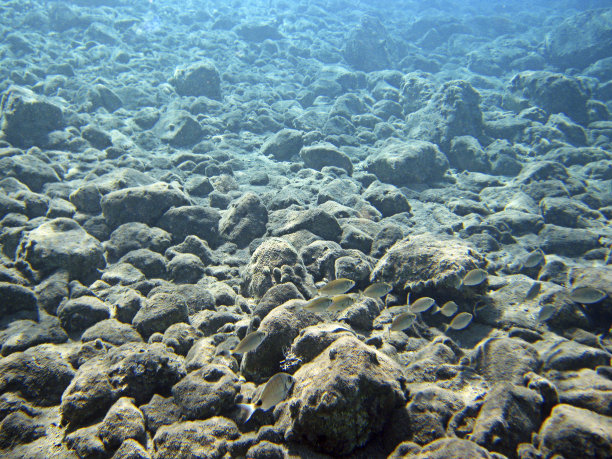 地中海水下图片下载
