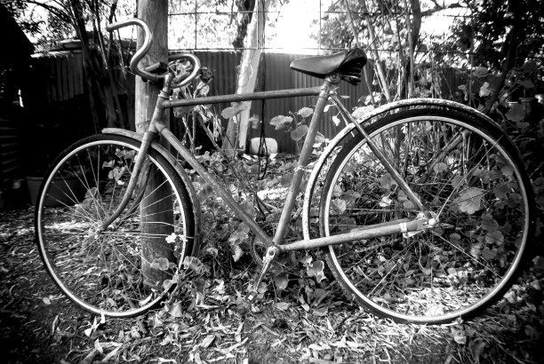 花园里一辆生锈的旧自行车图片下载