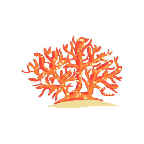 热带珊瑚礁中的亮红色扇形珊瑚。平直型水下无脊椎海洋生物。海洋和海洋野生动物的概念图片下载