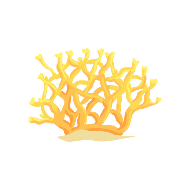 黄色热带水下植物。沙质海底的明亮珊瑚。海洋生物的概念图片下载