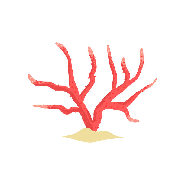 沙质海床上的红色鹿角软珊瑚。热带植物，扁平型。水下世界设计的对象图片下载