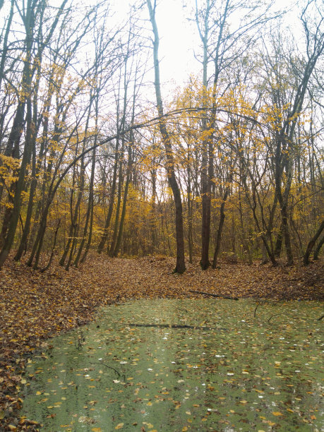 秋天的季节图片下载
