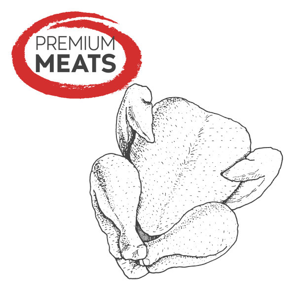 鸡手绘矢量插图。肉类产品。设计草图元素。图片下载