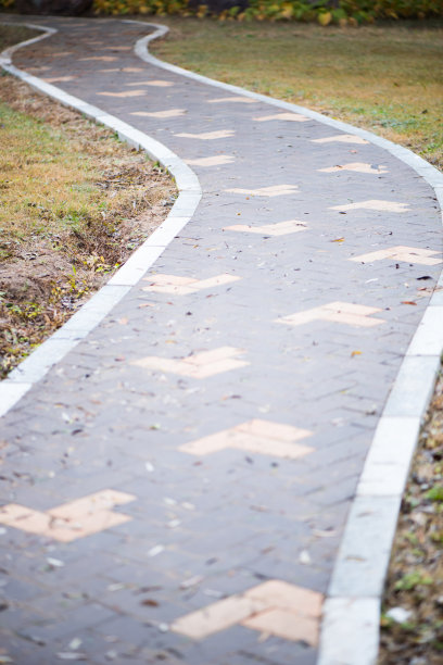 公园里的路。图片下载