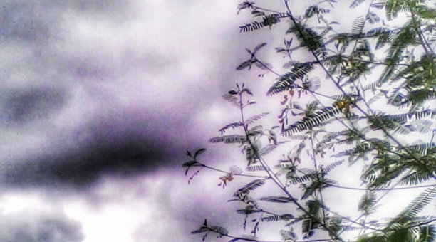 天空有着不同的面貌。图片下载