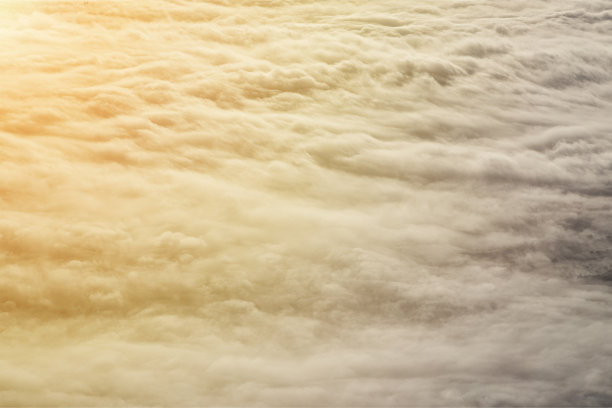 神秘的雾图片下载