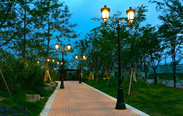 城市街道图片下载